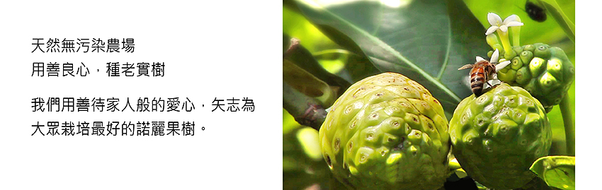 1541139932413530.jpg 企業理念-BN 下.jpg
