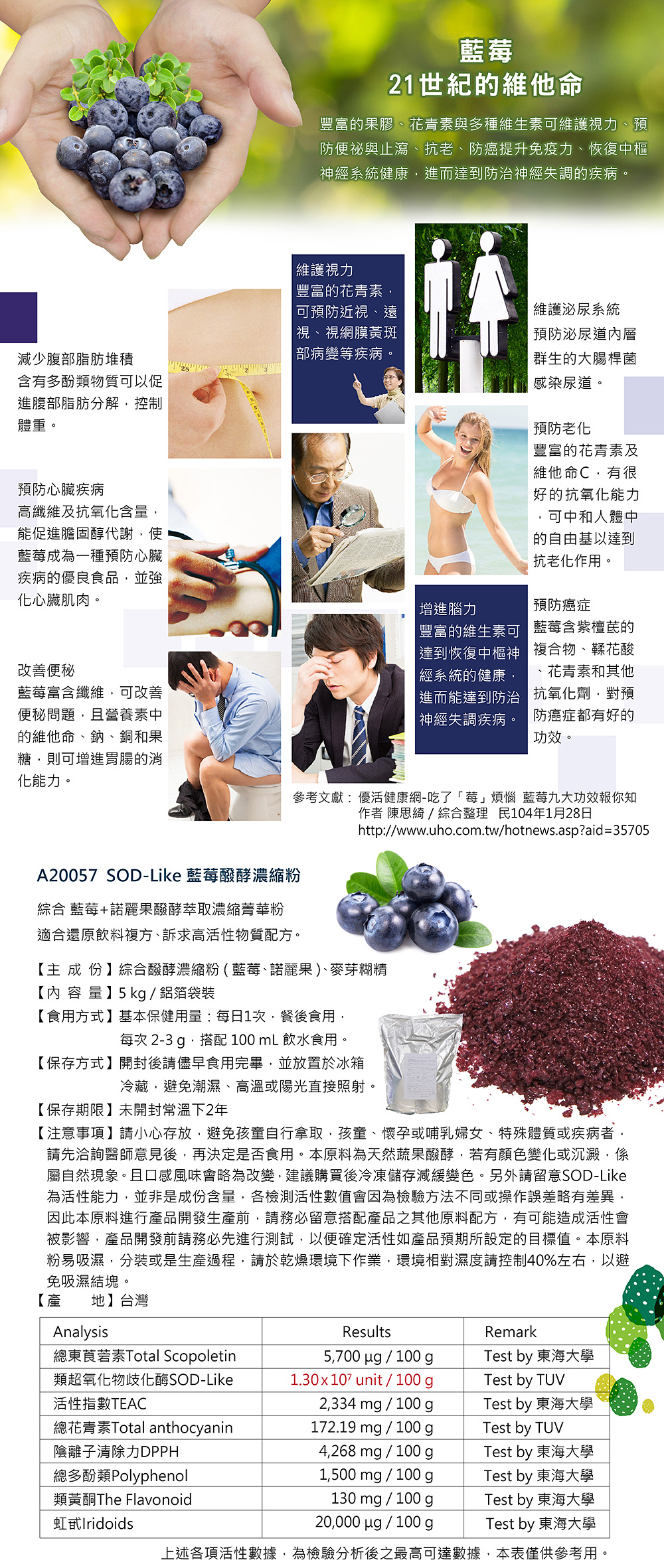藍莓粉_blueberry powder.jpg